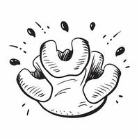 Baby footprint icon with copy space on a white background concept as A image of baby footprints with generous copy space on a white background ideal for newborn and baby the Dynamic vector