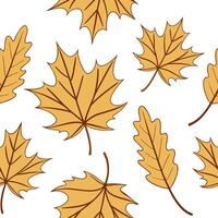Autumn warmth seamless tile pattern with cozy blankets and golden maple leaves for inviting home decor concept as Cozy blankets and golden maple leaves arranged seamlessly to creat Dynamic Set 10 vector