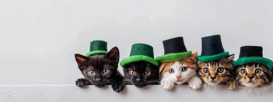 A group of cats wearing green hats are standing next to each other. The cats are all different colors and sizes, but they all have the same hat on. Patrick's Day holiday animals photo