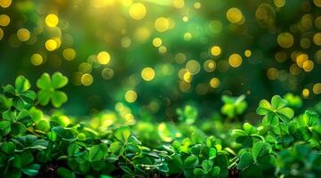 A green field with a bunch of clovers. The field is full of green grass and the clovers are scattered throughout the field. The image has a peaceful and serene mood. Patrick's Day photo
