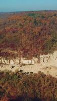 View on the work of equipment in the sand quarry on the background of the forest near the river. Camera movement down. Aerial view Vertical video