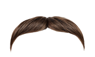 This is a detailed closeup view of a fake mustache on a plain on a transparent background png