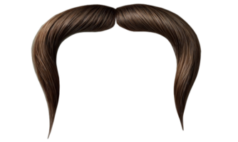 A detailed close up image of a fake mustache resting on a transparent background png