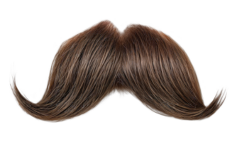 Closeup of a fake mustache on a transparent background, showing details png
