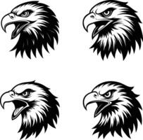 Bald Eagle head with fierce expression illustration vector