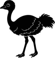 Silhouette illustration of A cute baby Ostrich vector