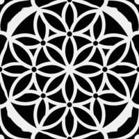 Abstract organic pattern black and white - unique abstract formation. vector