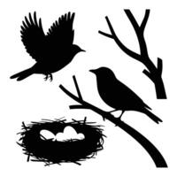 Birds and nest vector