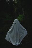 View of a child in a ghost costume among the trees in the forest photo