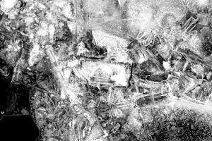 Black and white abstract ice texture with intricate patterns and frosty, crystallized details. photo