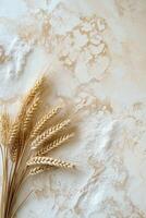 close-up of a white powdery surface with a bunch of wheat ears on the left side. photo