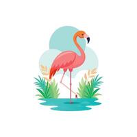 Elegant Flamingo Standing in Shallow Water vector