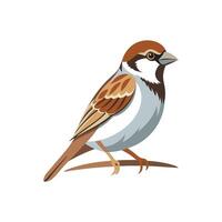 Graceful Sparrow in Flight Illustration Design On White Background vector