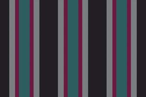 Skirt stripe pattern lines, repeat textile seamless texture. Independence day background fabric vertical in black and white colors. vector