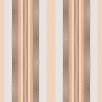 Designer pattern stripe, peach fabric lines background. Stage seamless texture vertical textile in orange and white colors. vector