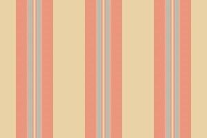 Presentation seamless pattern, children lines texture vertical. Simple background fabric stripe textile in light and red colors. vector