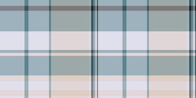 Mat seamless fabric, primary texture background plaid. Stylish textile tartan check pattern in pastel and grey colors. vector
