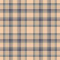 a plaid fabric with a blue and tan color scheme vector