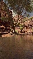 Reflection in Colorado River of Butte catching days last rays, in Grand Canyon. video