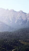 spruce and pine trees and mountains of Colorado video
