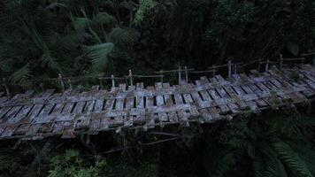 Exploring a rustic wooden bridge in the Colombian rainforest video