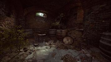 Ruins of a rustic cellar with barrels and greenery in a quiet atmosphere video