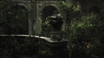 Overgrown stone vase in an abandoned garden setting at dusk video