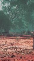 Fragment of an old fence with rusty barbed wire video