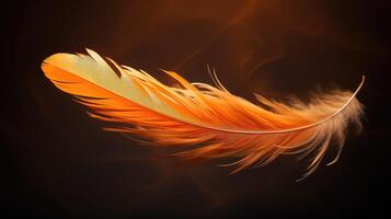 glow orange feathers photo