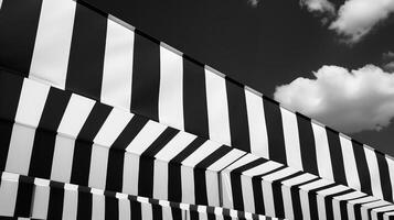 contrast background black and white photo