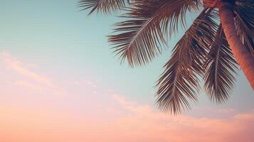 texture simple palm tree photo