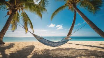 beach hammock and palm trees photo