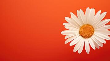 gradient orange red background photo