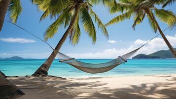 tropical hammock palm tree photo