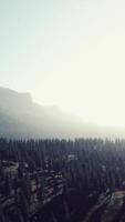 Beautiful sunset view in cedar forest in front of sayan mountain range video