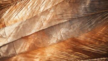 patterns palm tree gradient photo