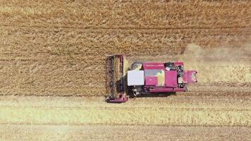Two harvesters Operating in agricultural field, directly above Aerial view video