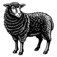 Black sheep silhouette vector
