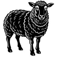 Wool sheep illustration vector