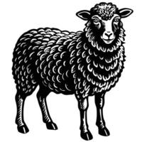 Spring sheep clipart vector