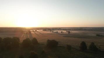 Aerial view of sunrise over a field with trees video