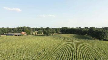An aerial view of a farm with trees and a house video