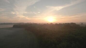 A sunrise over a field with trees and grass video