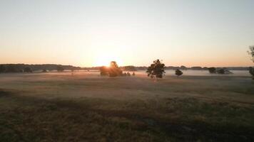 A sunrise over a field with trees and fog video
