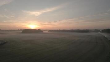 A sunrise over a field with fog and trees video