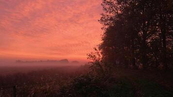 A red sky and foggy field with trees video