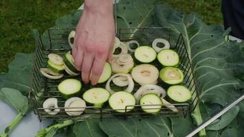 Chef arranges sliced zucchini and onions seasoned with spices on a grilling basket, preparing them for cooking on a barbecue placed on collard green leaves video