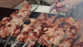 Sizzling ruddy pork skewers rotating on barbecue grill, releasing aromatic smoke and grilling to juicy, tender perfection for outdoor picnic or summer dinner video
