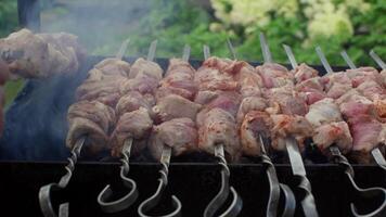 Pieces of raw meat are strung on skewers and grilled smoke rising over charcoal, creating appetizing smoke, capturing the essence of outdoor cooking and enjoyment video