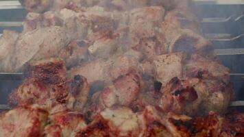 Savory ruddy pork chunks sizzling on skewers, grilling over hot coals with smoke rising, creating mouthwatering barbecue perfection during outdoor summer meal preparation video